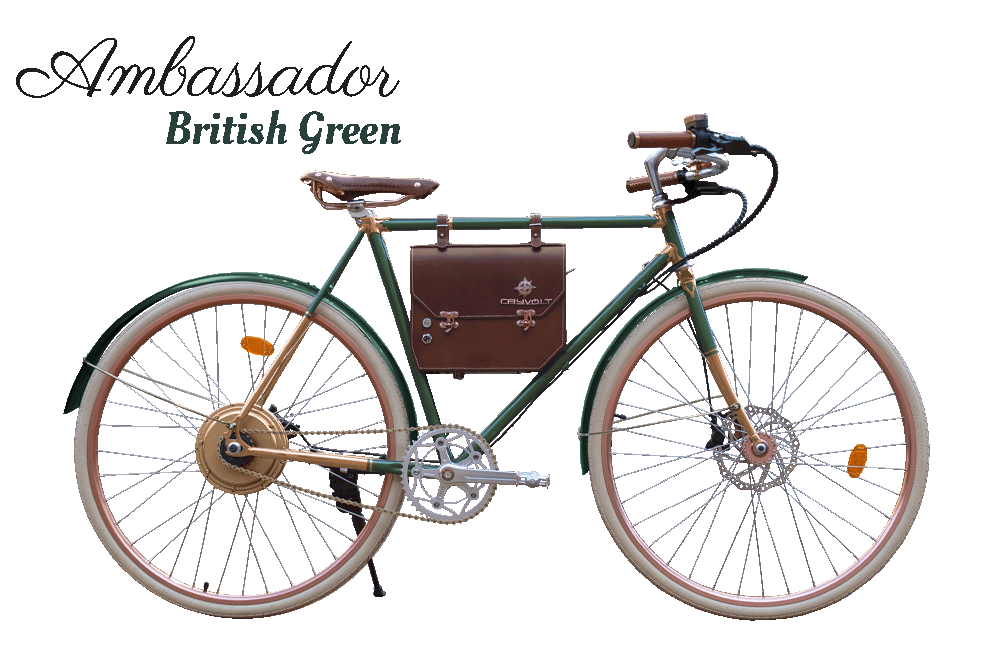 Rayvolt Ambassador Bici Elettrica Vintage Uso Urbano