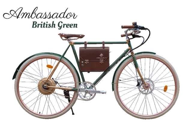 Rayvolt Ambassador Bici Elettrica Vintage Uso Urbano