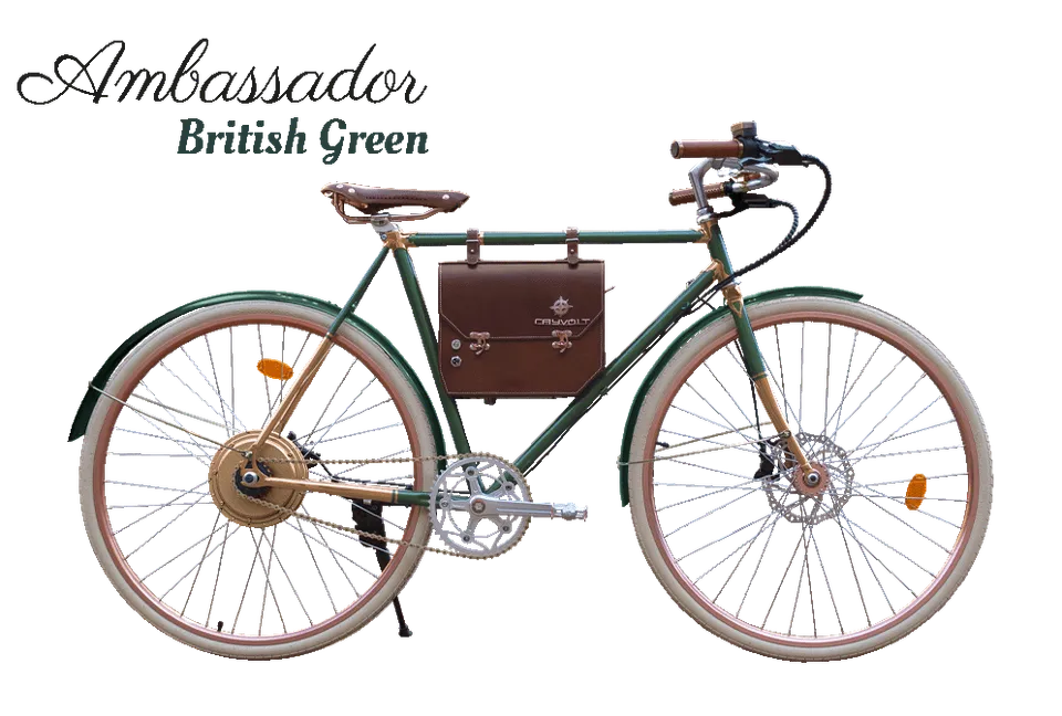 Rayvolt Ambassador Bici Elettrica Vintage Uso Urbano
