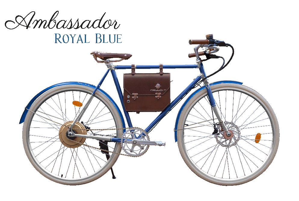 Rayvolt Ambassador Bici Elettrica Vintage Uso Urbano