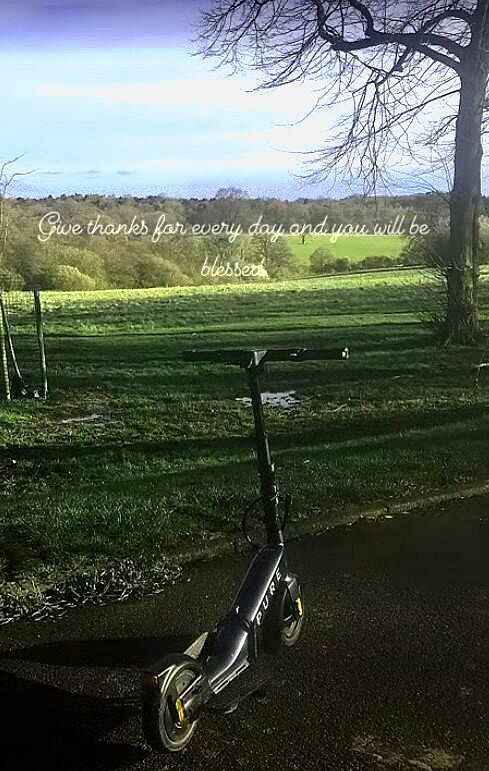 Pure Electric Flex Monopattino Elettrico Pieghevole Platinum 52 km