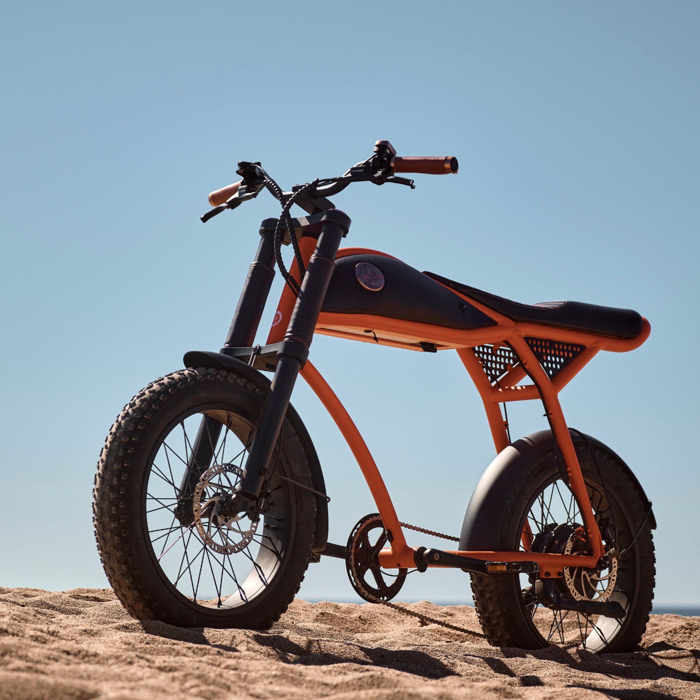 Rayvolt Ringo bici elettrica urbana stile vintage