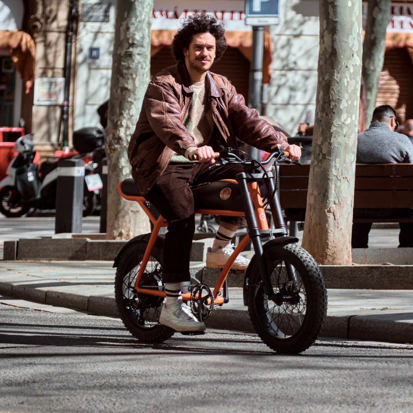 Rayvolt Ringo bici elettrica urbana stile vintage