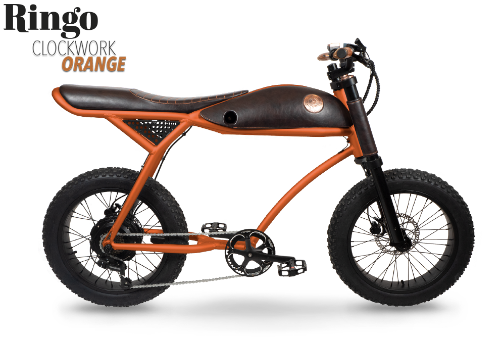 Rayvolt Ringo bici elettrica urbana stile vintage
