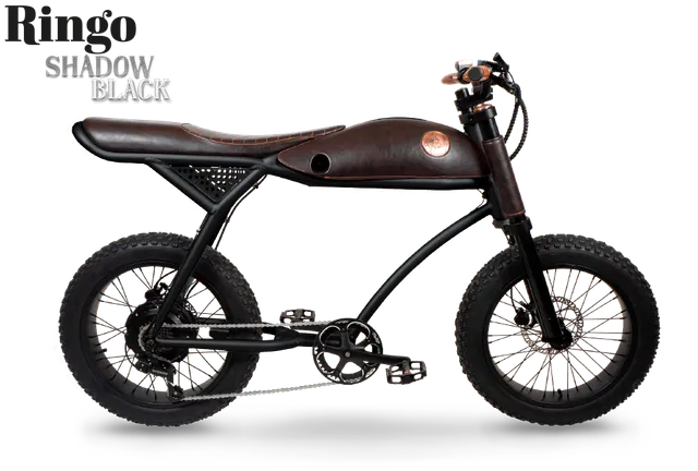 Rayvolt Ringo bici elettrica urbana stile vintage