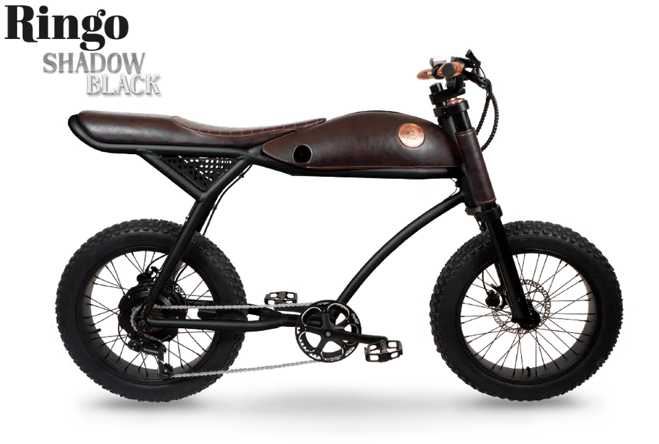 Rayvolt Ringo bici elettrica urbana stile vintage