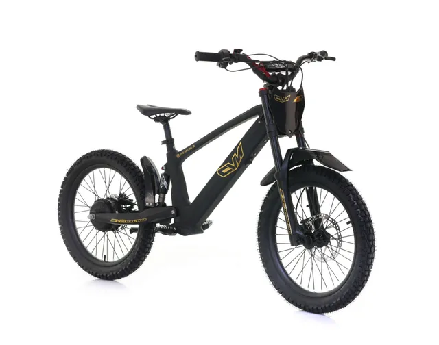 Koolux E-Balance Bike Evo Racing 20 Bici Elettrica Bambini