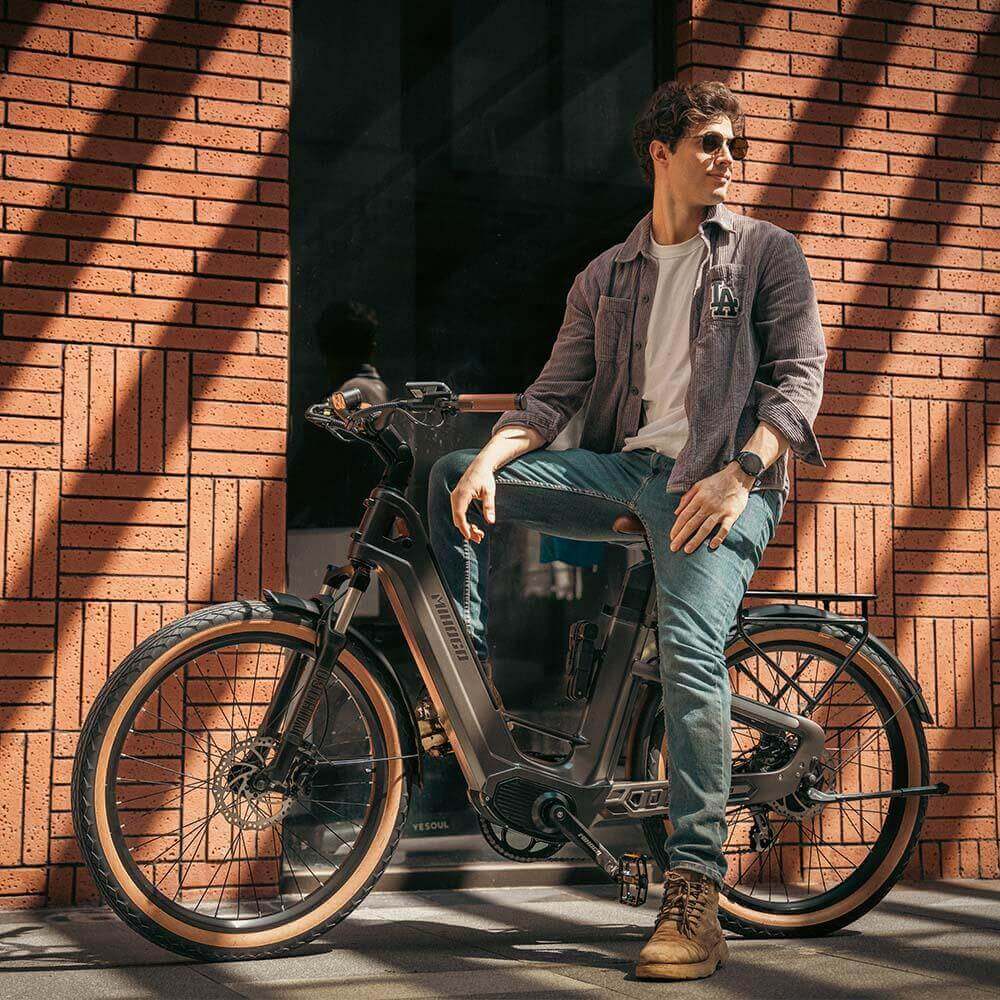 Mihogo Air Carbon e-bike carbonio grigia doppia batteria