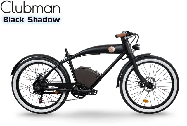 Rayvolt Clubman bici elettrica urbana stile vintage