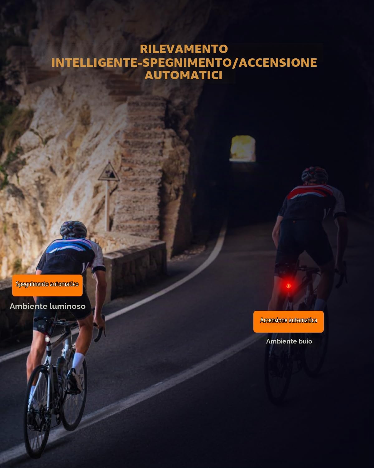 Wind&Moon Bicycle Taillights luce posteriore bici USB frenata