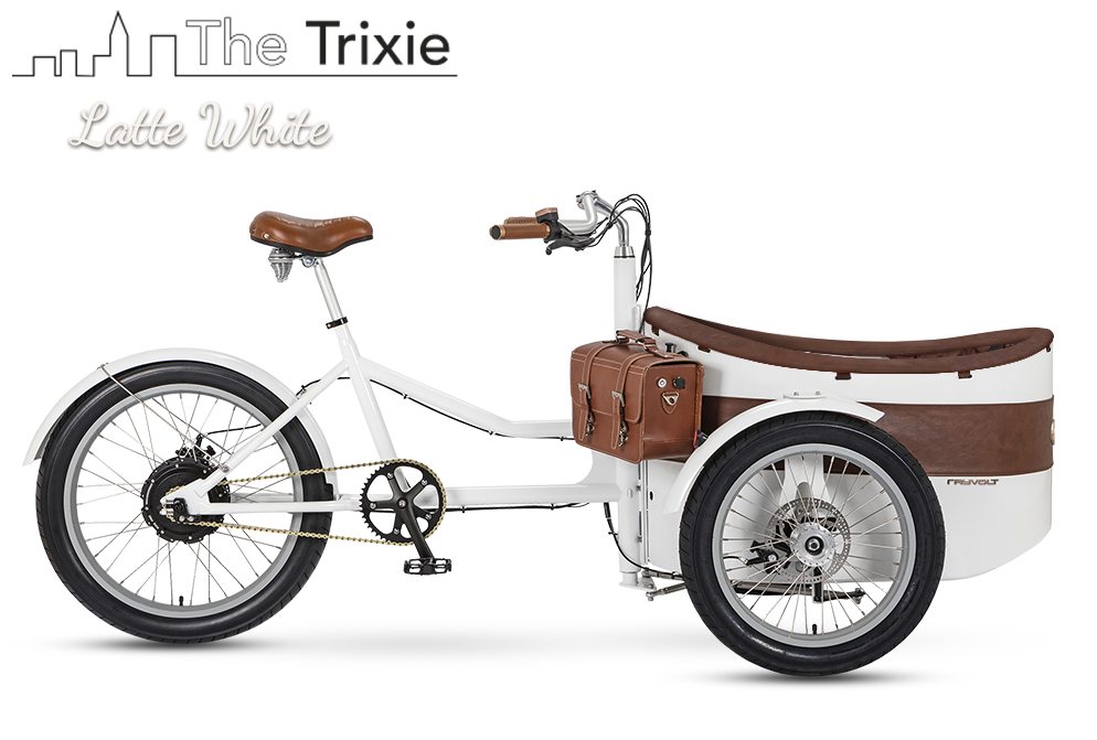 Rayvolt Trixie Bici Elettrica Famiglia con Seggiolino Vintage