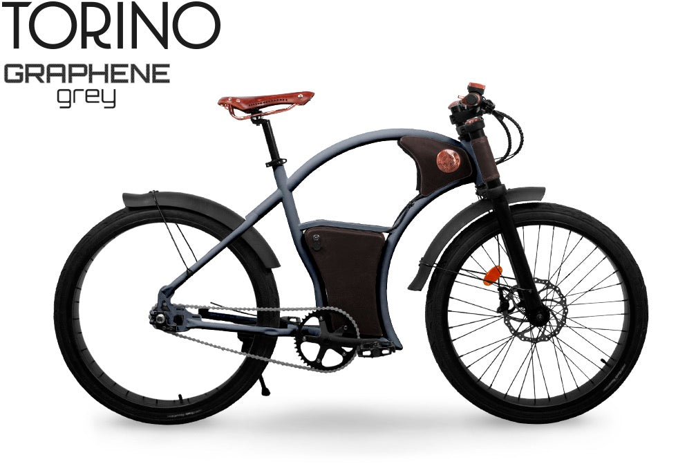 Rayvolt Torino bici elettrica urbana batteria 10.5Ah 40 km