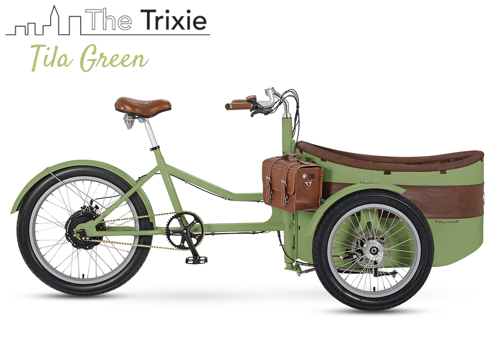 Rayvolt Trixie Bici Elettrica Famiglia con Seggiolino Vintage
