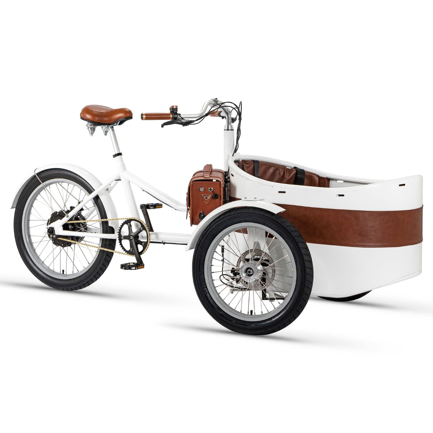 Rayvolt Trixie Bici Elettrica Famiglia con Seggiolino Vintage