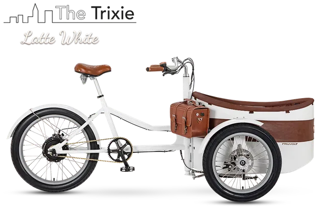 Rayvolt Trixie Bici Elettrica Famiglia con Seggiolino Vintage