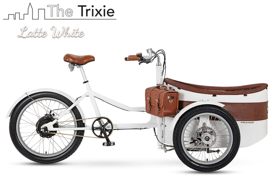 Rayvolt Trixie Bici Elettrica Famiglia con Seggiolino Vintage