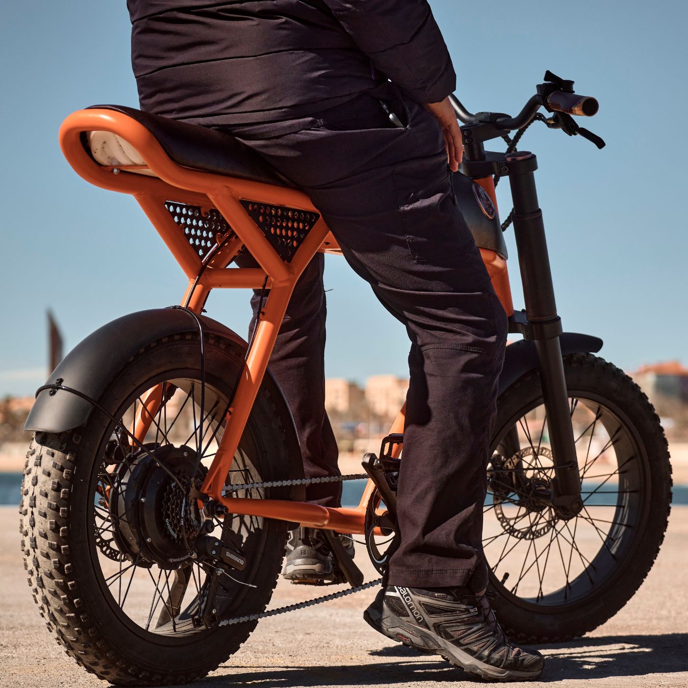 Rayvolt Ringo bici elettrica urbana stile vintage