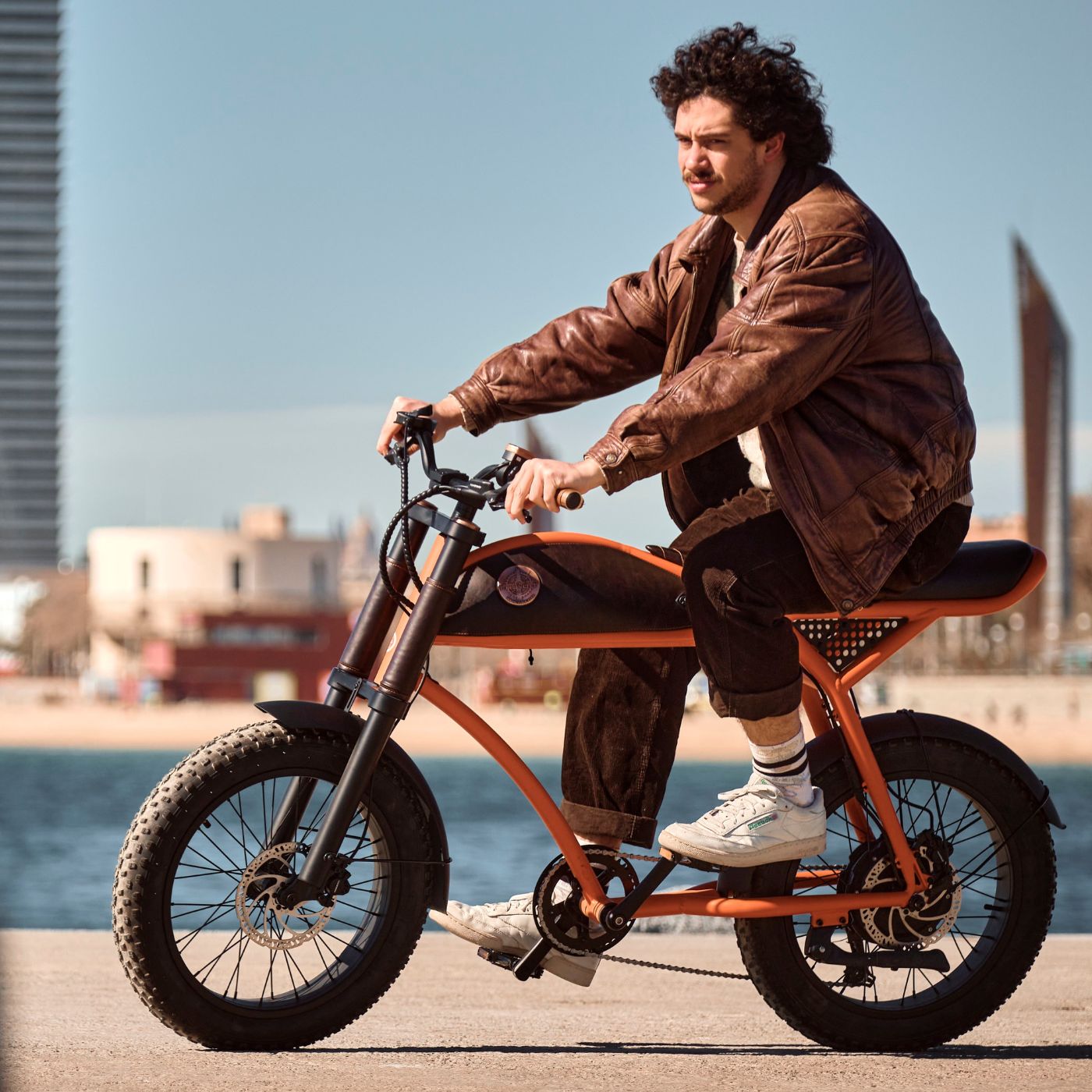 Rayvolt Ringo bici elettrica urbana stile vintage