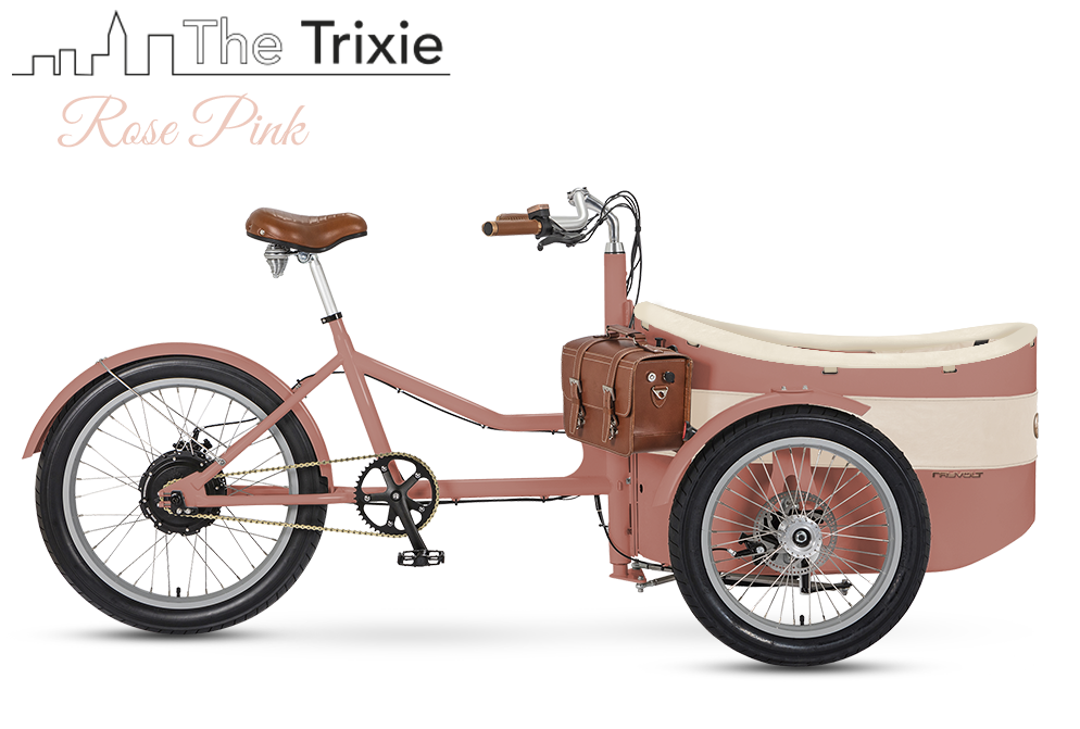 Rayvolt Trixie Bici Elettrica Famiglia con Seggiolino Vintage