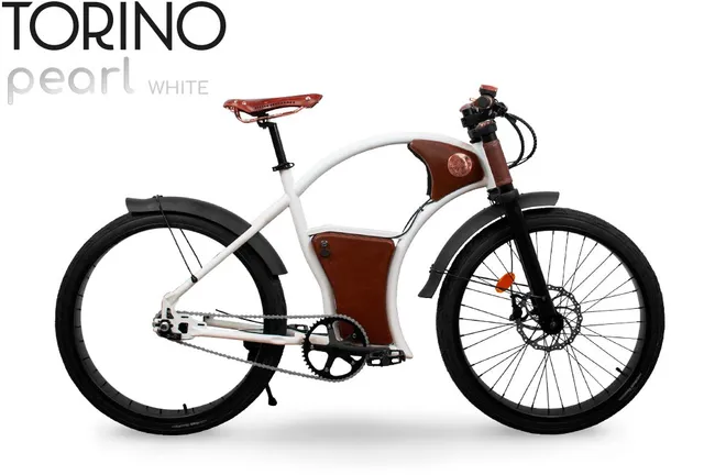 Rayvolt Torino bici elettrica urbana batteria 10.5Ah 40 km