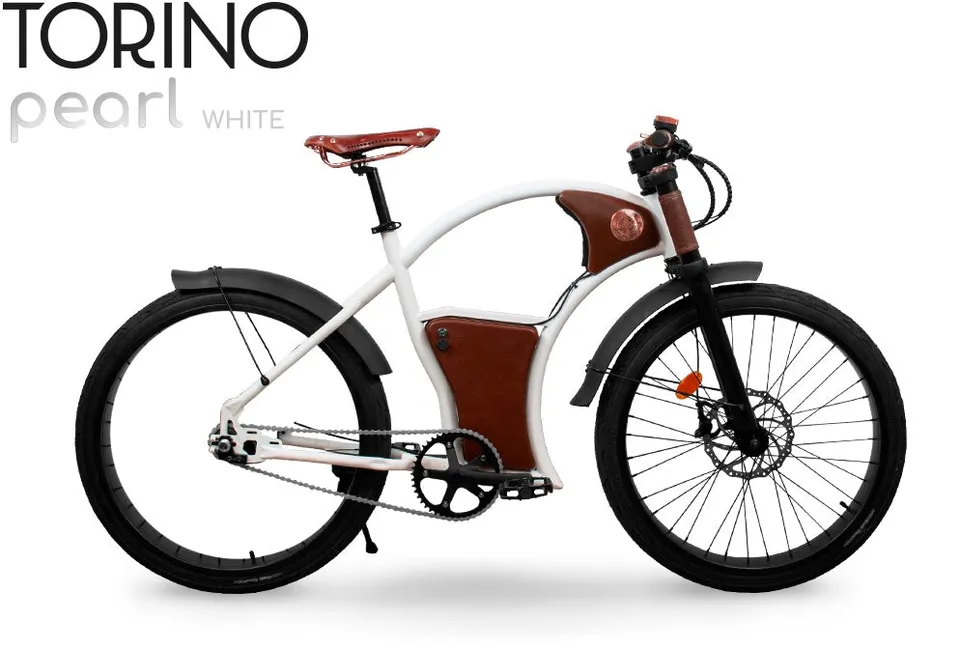 Rayvolt Torino bici elettrica urbana batteria 10.5Ah 40 km