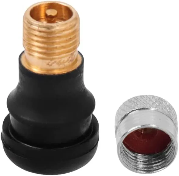 ANSENI Accessori Valvola Tubeless Xiaomi M365 2 pz