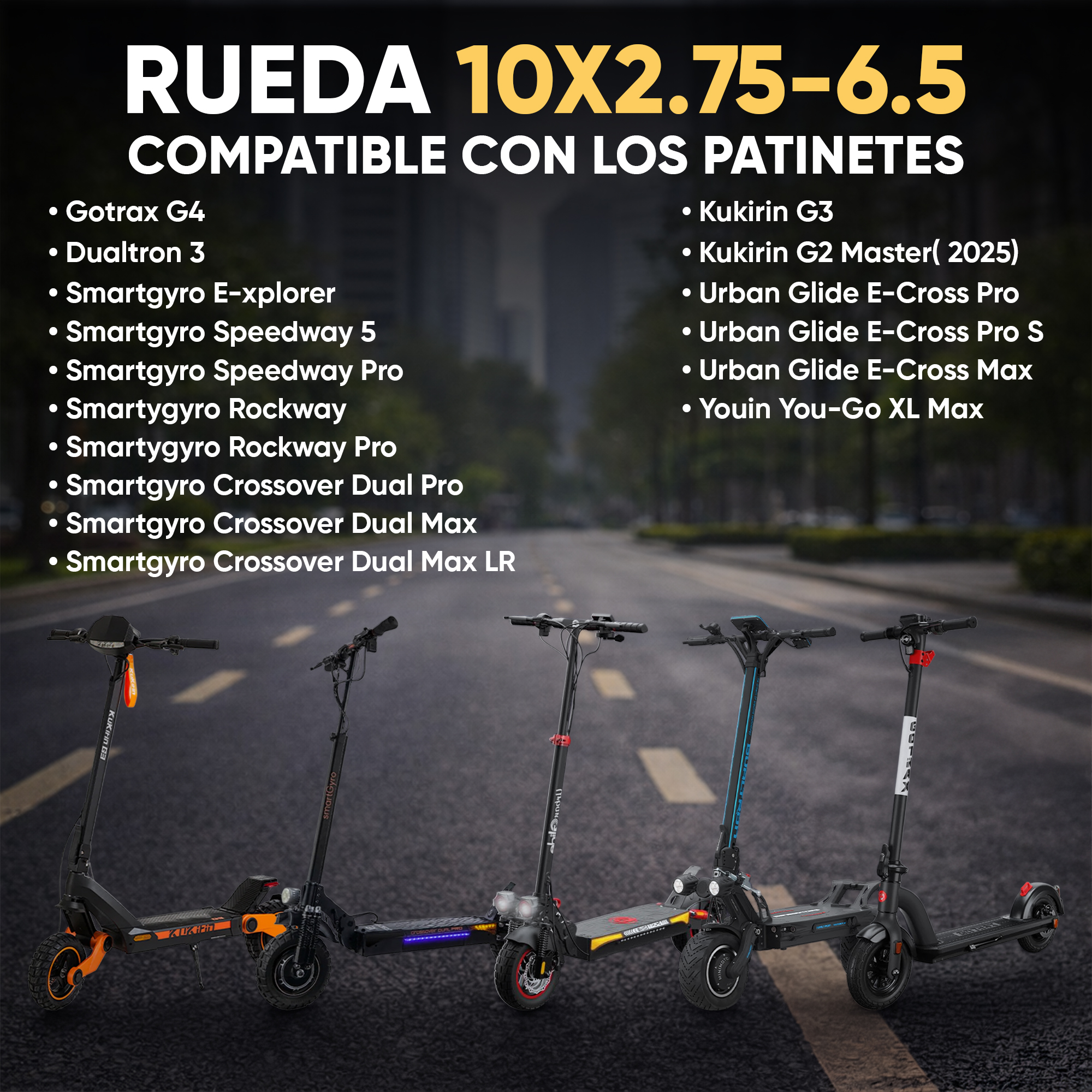 ANSENI Cubiertas pneumatico 10x2.75 tubeless offroad