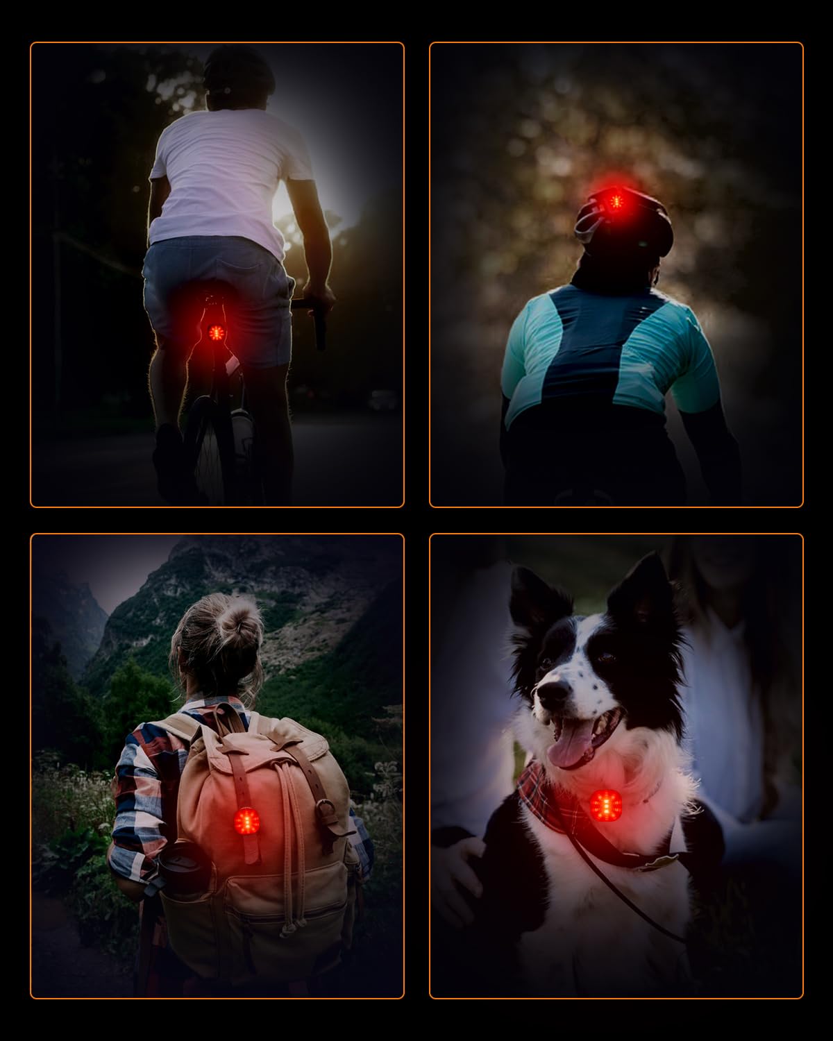Wind&Moon Bicycle Taillights luce posteriore bici USB frenata