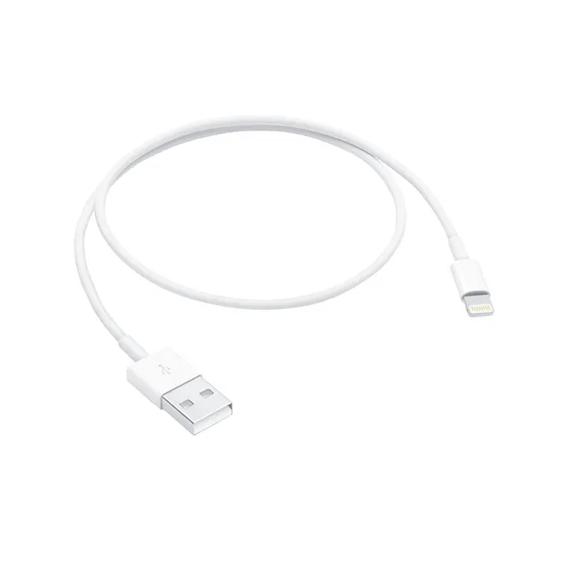 Pure Electric Accessories USB Lightning cavo ricarica sync
