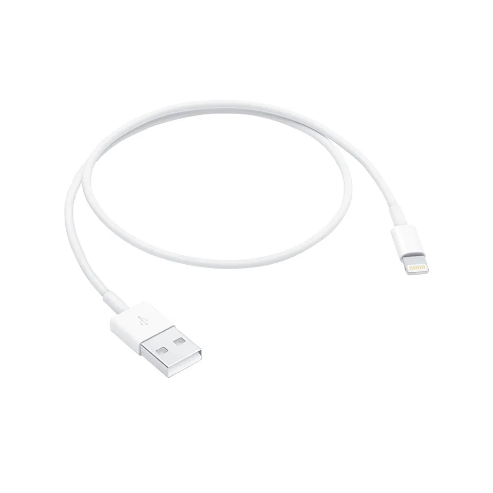 Pure Electric Accessories USB Lightning cavo ricarica sync