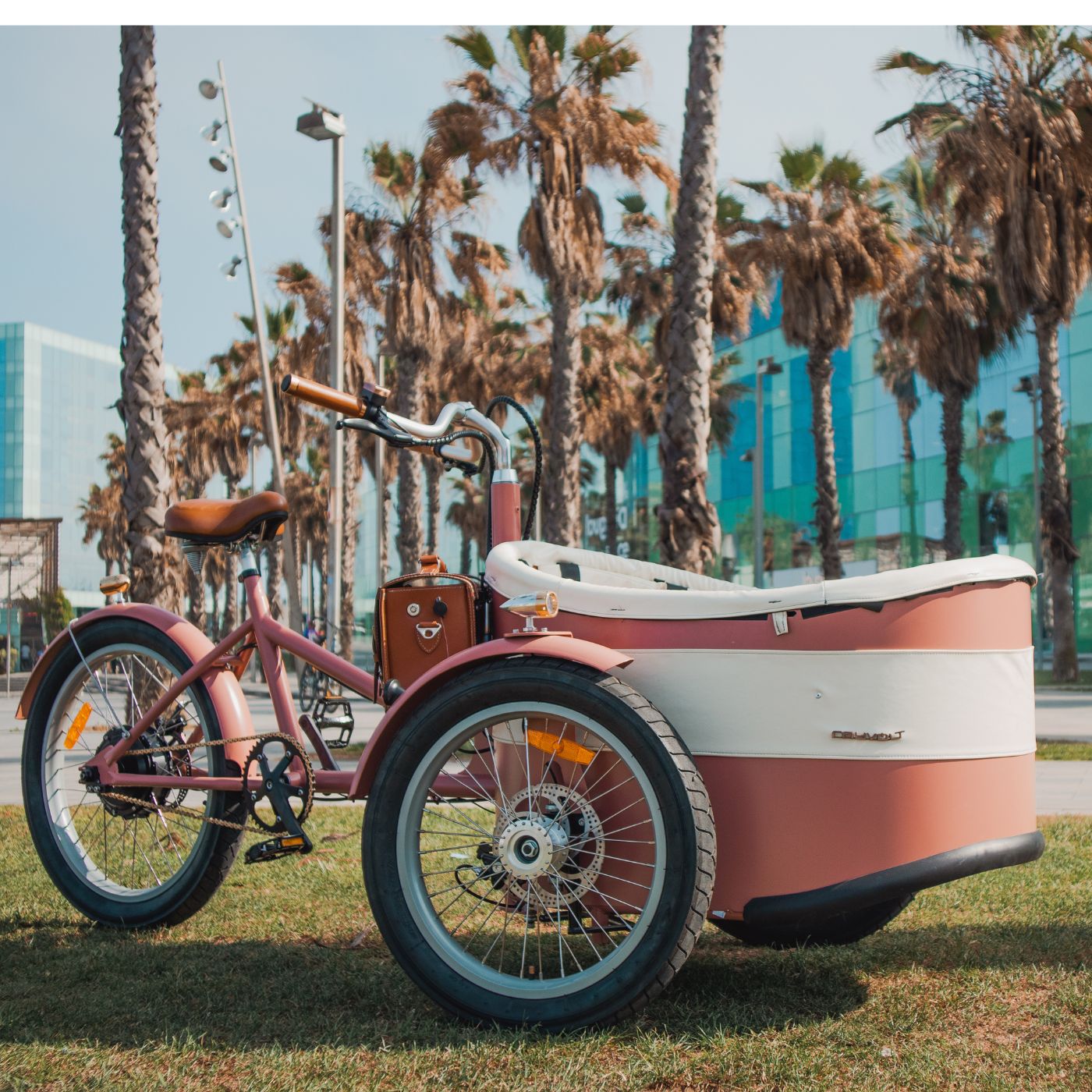 Rayvolt Trixie Bici Elettrica Famiglia con Seggiolino Vintage