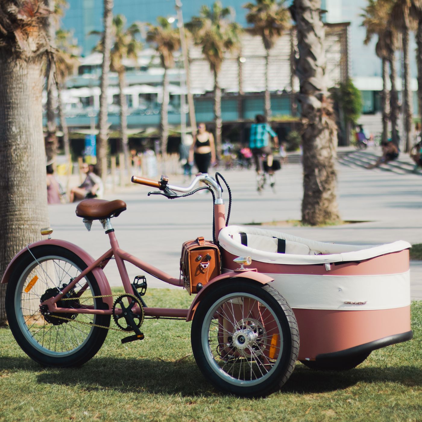 Rayvolt Trixie Bici Elettrica Famiglia con Seggiolino Vintage